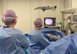 Urolon&trade;-training voor urologen en gynaecologen